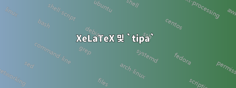 XeLaTeX 및 `tipa` 