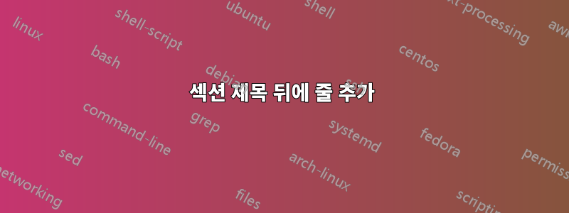 섹션 제목 뒤에 줄 추가