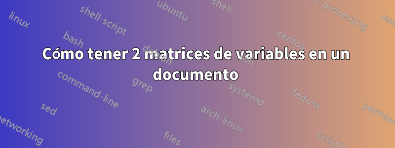 Cómo tener 2 matrices de variables en un documento