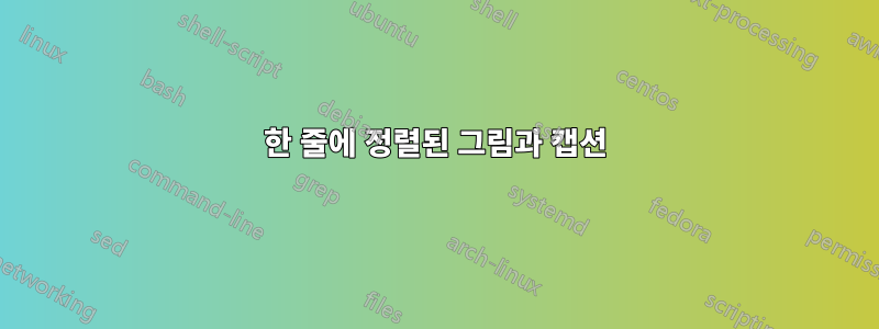 한 줄에 정렬된 그림과 캡션
