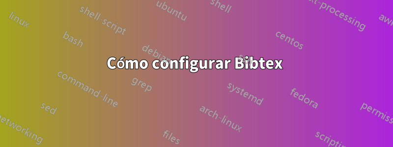 Cómo configurar Bibtex