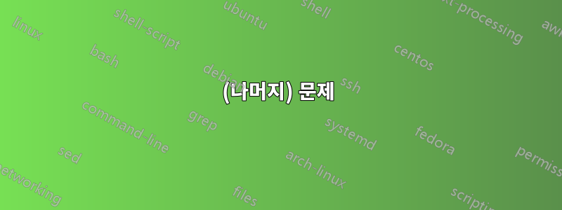 (나머지) 문제