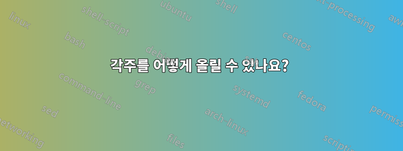 각주를 어떻게 올릴 수 있나요?