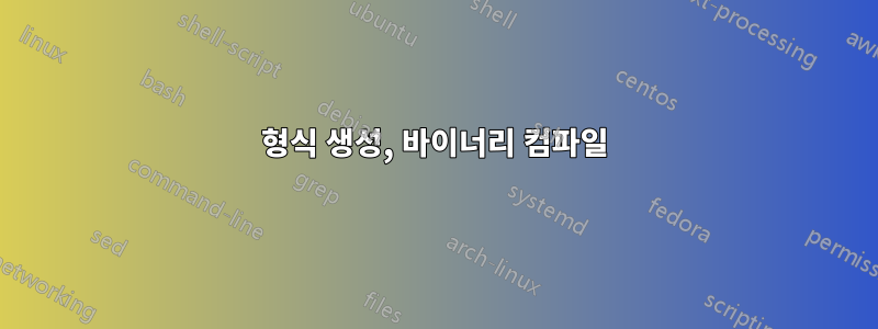 형식 생성, 바이너리 컴파일