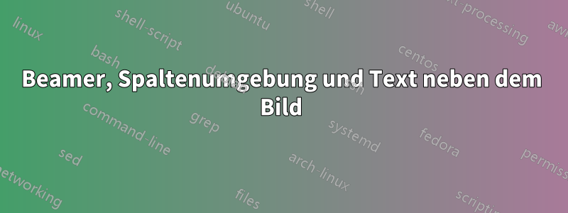 Beamer, Spaltenumgebung und Text neben dem Bild