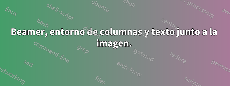 Beamer, entorno de columnas y texto junto a la imagen.