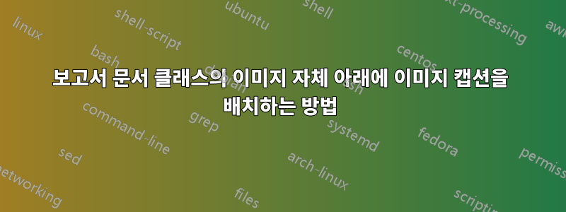 보고서 문서 클래스의 이미지 자체 아래에 이미지 캡션을 배치하는 방법