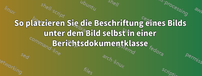 So platzieren Sie die Beschriftung eines Bilds unter dem Bild selbst in einer Berichtsdokumentklasse