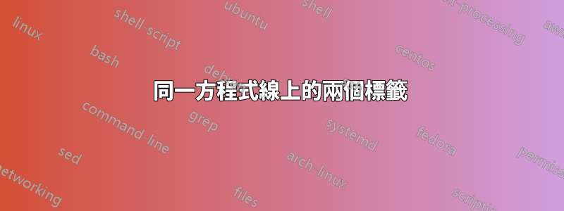 同一方程式線上的兩個標籤