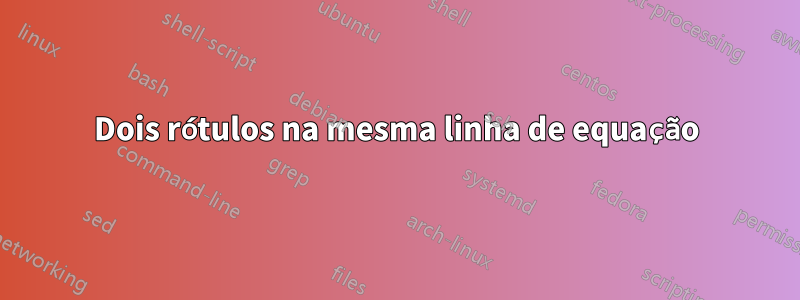 Dois rótulos na mesma linha de equação