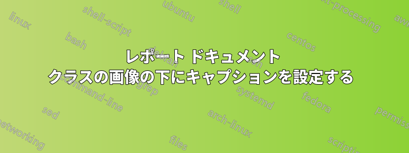 レポート ドキュメント クラスの画像の下にキャプションを設定する 