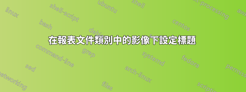 在報表文件類別中的影像下設定標題