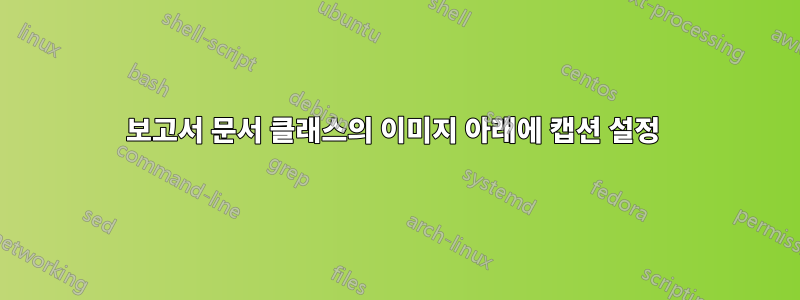 보고서 문서 클래스의 이미지 아래에 캡션 설정 