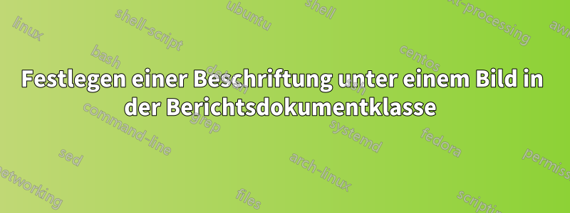 Festlegen einer Beschriftung unter einem Bild in der Berichtsdokumentklasse 