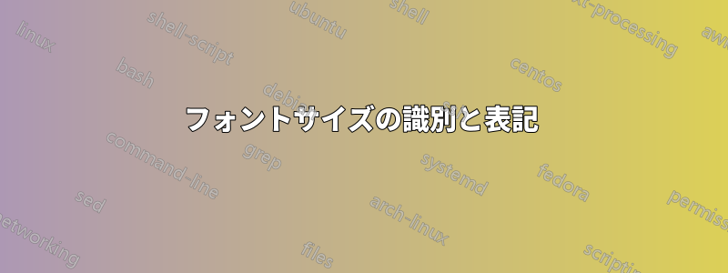 フォントサイズの識別と表記