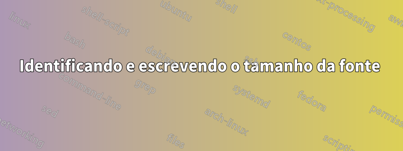 Identificando e escrevendo o tamanho da fonte