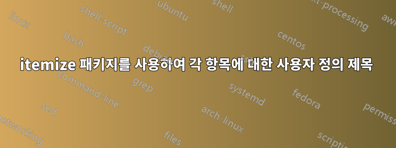 itemize 패키지를 사용하여 각 항목에 대한 사용자 정의 제목