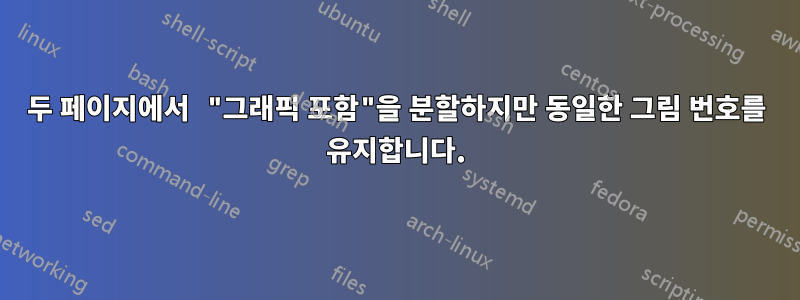 두 페이지에서 "그래픽 포함"을 분할하지만 동일한 그림 번호를 유지합니다.