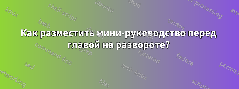 Как разместить мини-руководство перед главой на развороте?