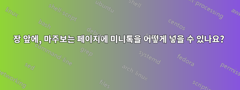 장 앞에, 마주보는 페이지에 미니톡을 어떻게 넣을 수 있나요?