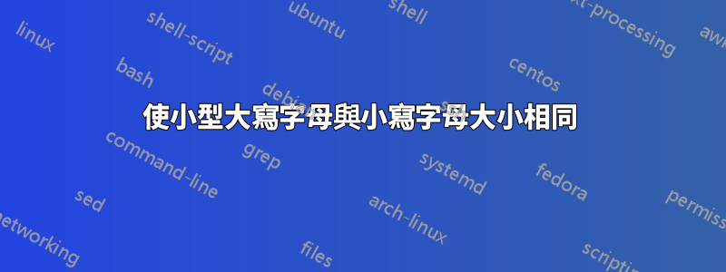 使小型大寫字母與小寫字母大小相同