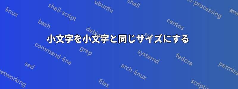 小文字を小文字と同じサイズにする