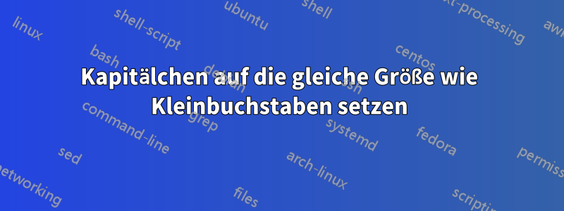 Kapitälchen auf die gleiche Größe wie Kleinbuchstaben setzen