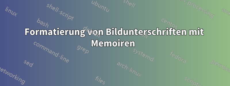 Formatierung von Bildunterschriften mit Memoiren 