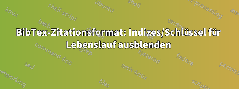 BibTex-Zitationsformat: Indizes/Schlüssel für Lebenslauf ausblenden