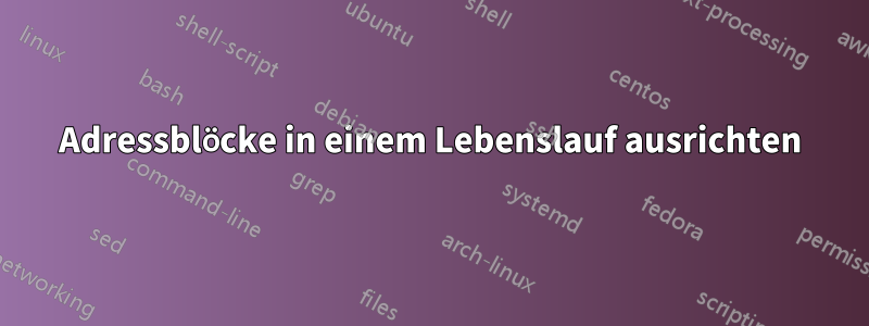 Adressblöcke in einem Lebenslauf ausrichten