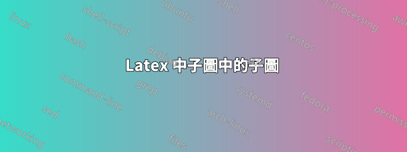 Latex 中子圖中的子圖