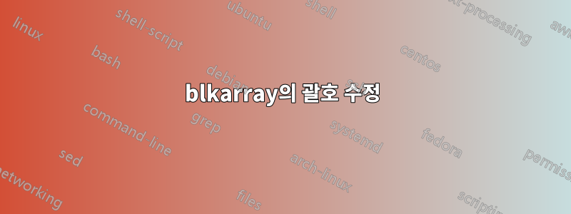 blkarray의 괄호 수정