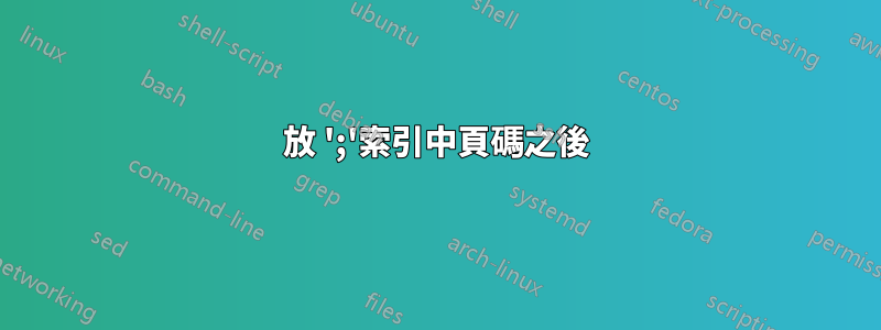 放 ';'索引中頁碼之後