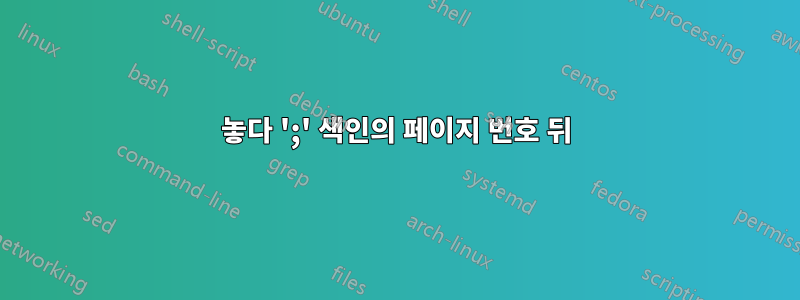 놓다 ';' 색인의 페이지 번호 뒤