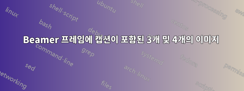 Beamer 프레임에 캡션이 포함된 3개 및 4개의 이미지