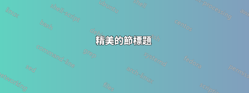 精美的節標題