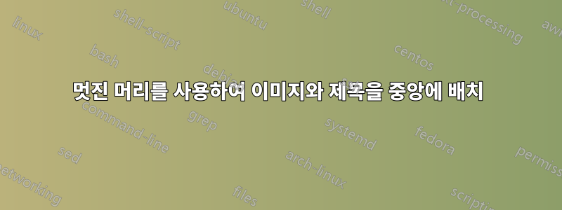 멋진 머리를 사용하여 이미지와 제목을 중앙에 배치