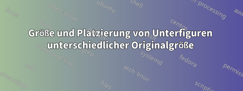 Größe und Platzierung von Unterfiguren unterschiedlicher Originalgröße