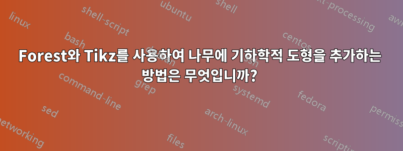 Forest와 Tikz를 사용하여 나무에 기하학적 도형을 추가하는 방법은 무엇입니까?