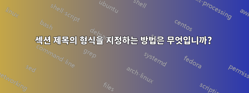 섹션 제목의 형식을 지정하는 방법은 무엇입니까?