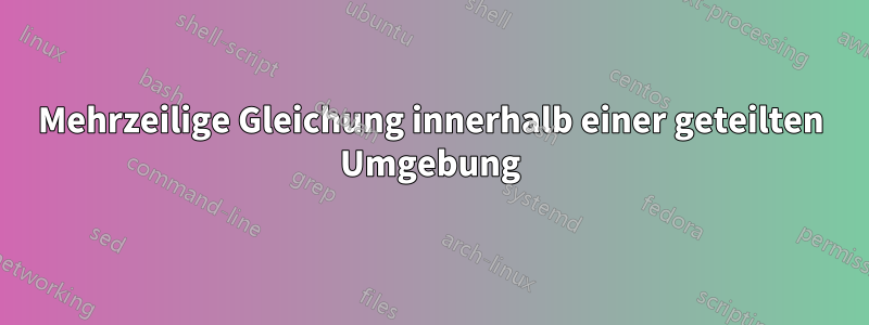 Mehrzeilige Gleichung innerhalb einer geteilten Umgebung