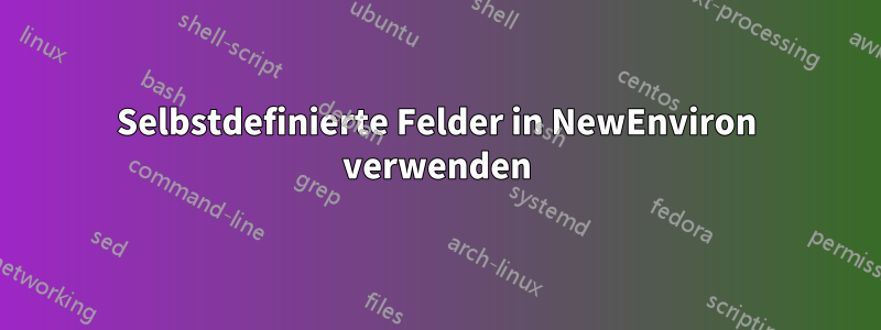 Selbstdefinierte Felder in NewEnviron verwenden