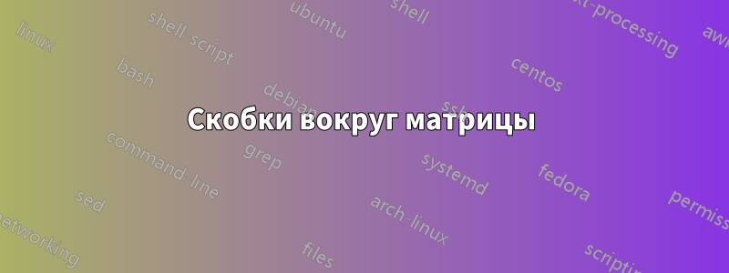 Скобки вокруг матрицы