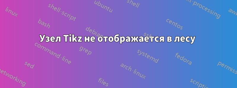 Узел Tikz не отображается в лесу