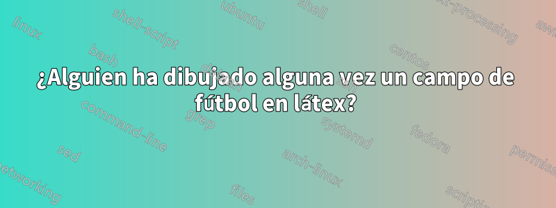 ¿Alguien ha dibujado alguna vez un campo de fútbol en látex?