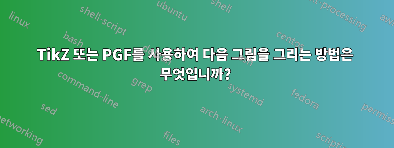 TikZ 또는 PGF를 사용하여 다음 그림을 그리는 방법은 무엇입니까?