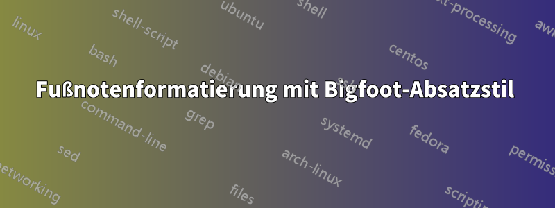 Fußnotenformatierung mit Bigfoot-Absatzstil