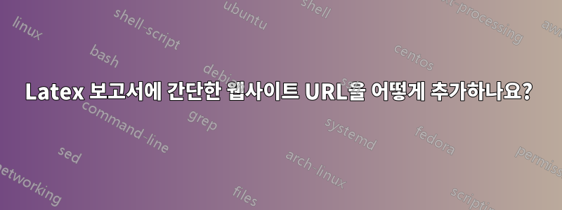 Latex 보고서에 간단한 웹사이트 URL을 어떻게 추가하나요?