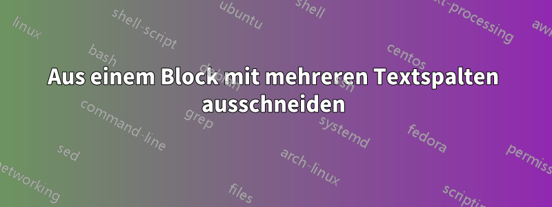 Aus einem Block mit mehreren Textspalten ausschneiden