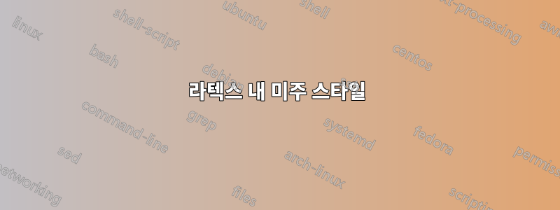 라텍스 내 미주 스타일